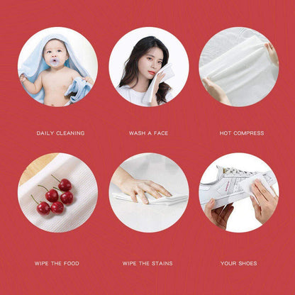Portable Compressed Disposable Towel